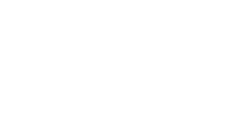 Sally Newton Memorial Foundation Logo